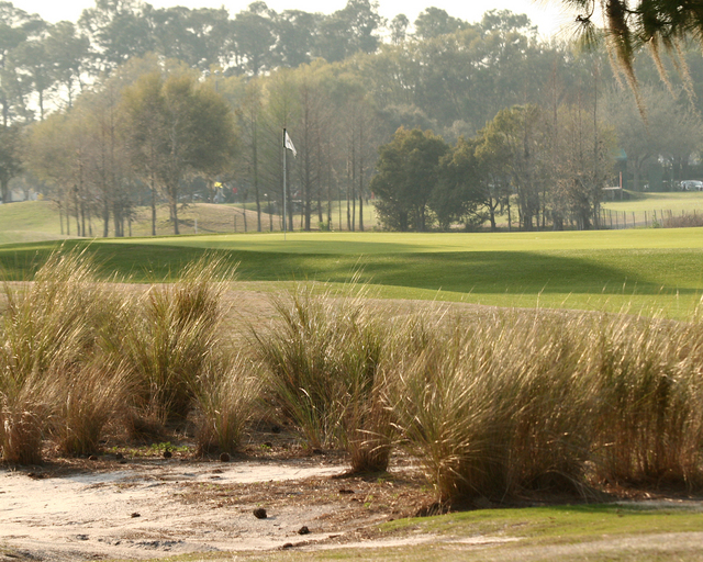 Timacuan Golf Club - No. 14